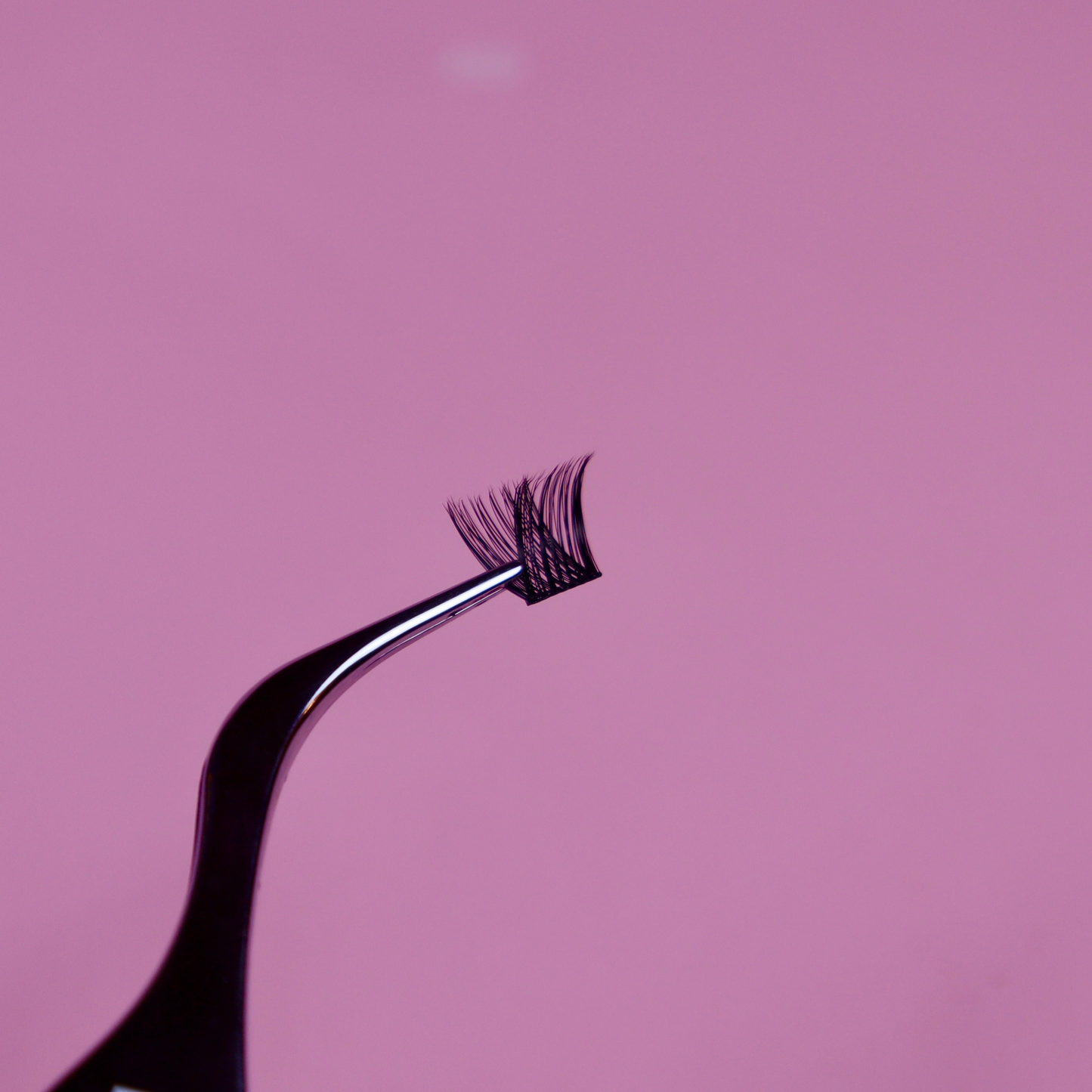 Midnight Lash Bundle