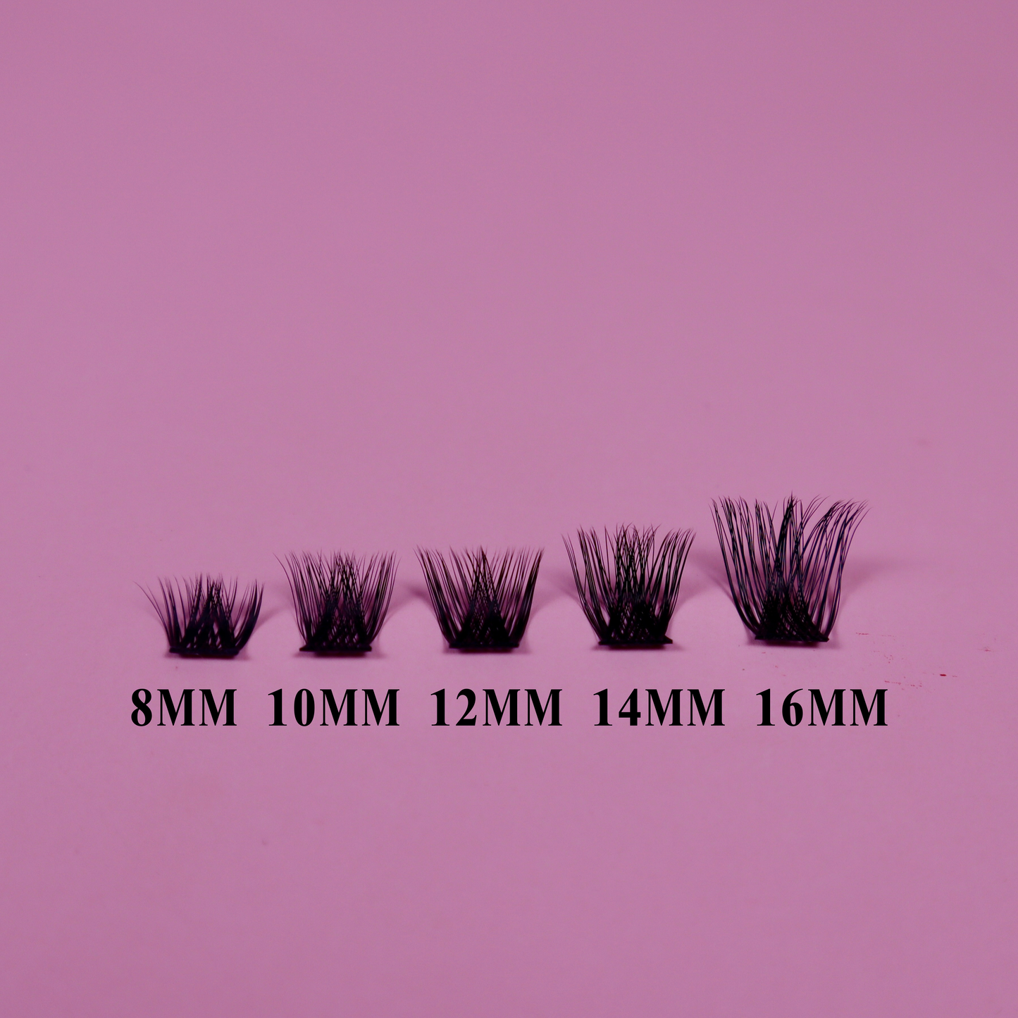 Midnight Starter Kit