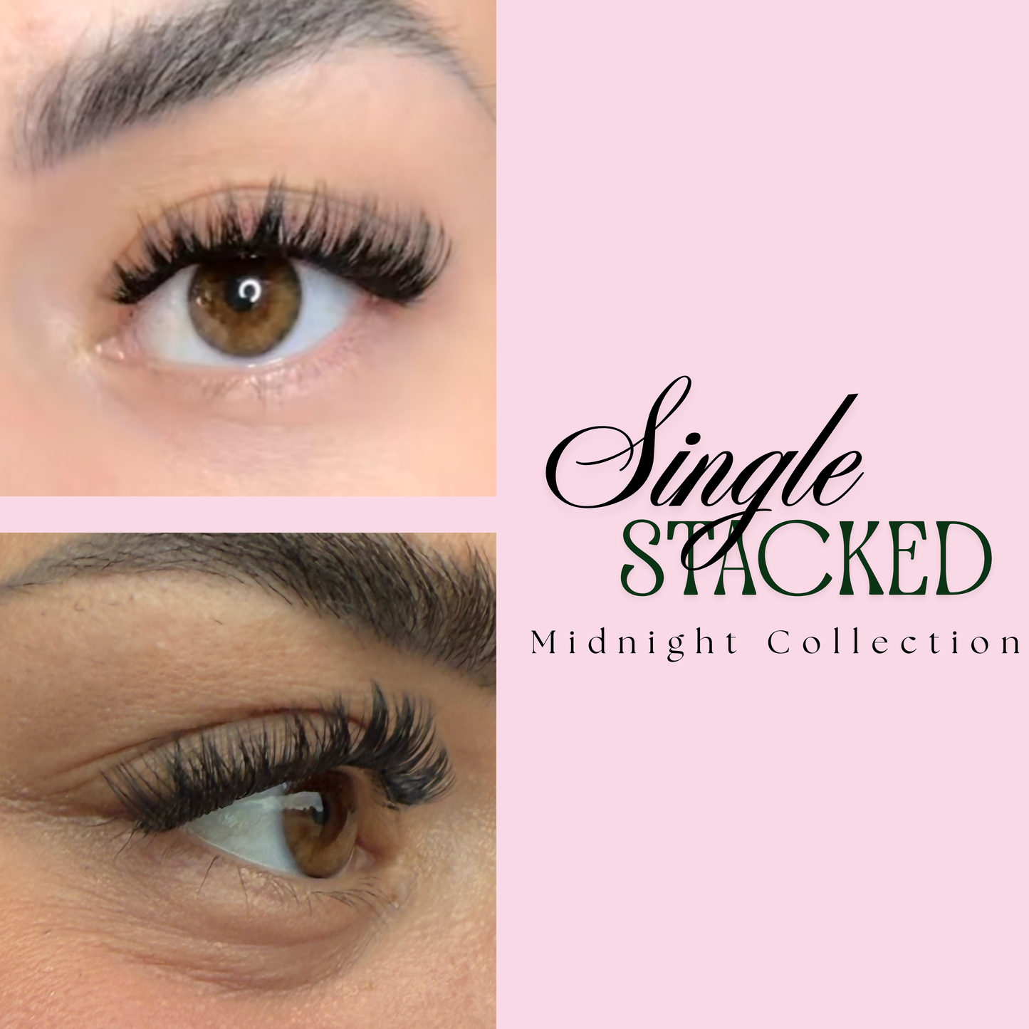 Midnight Starter Kit