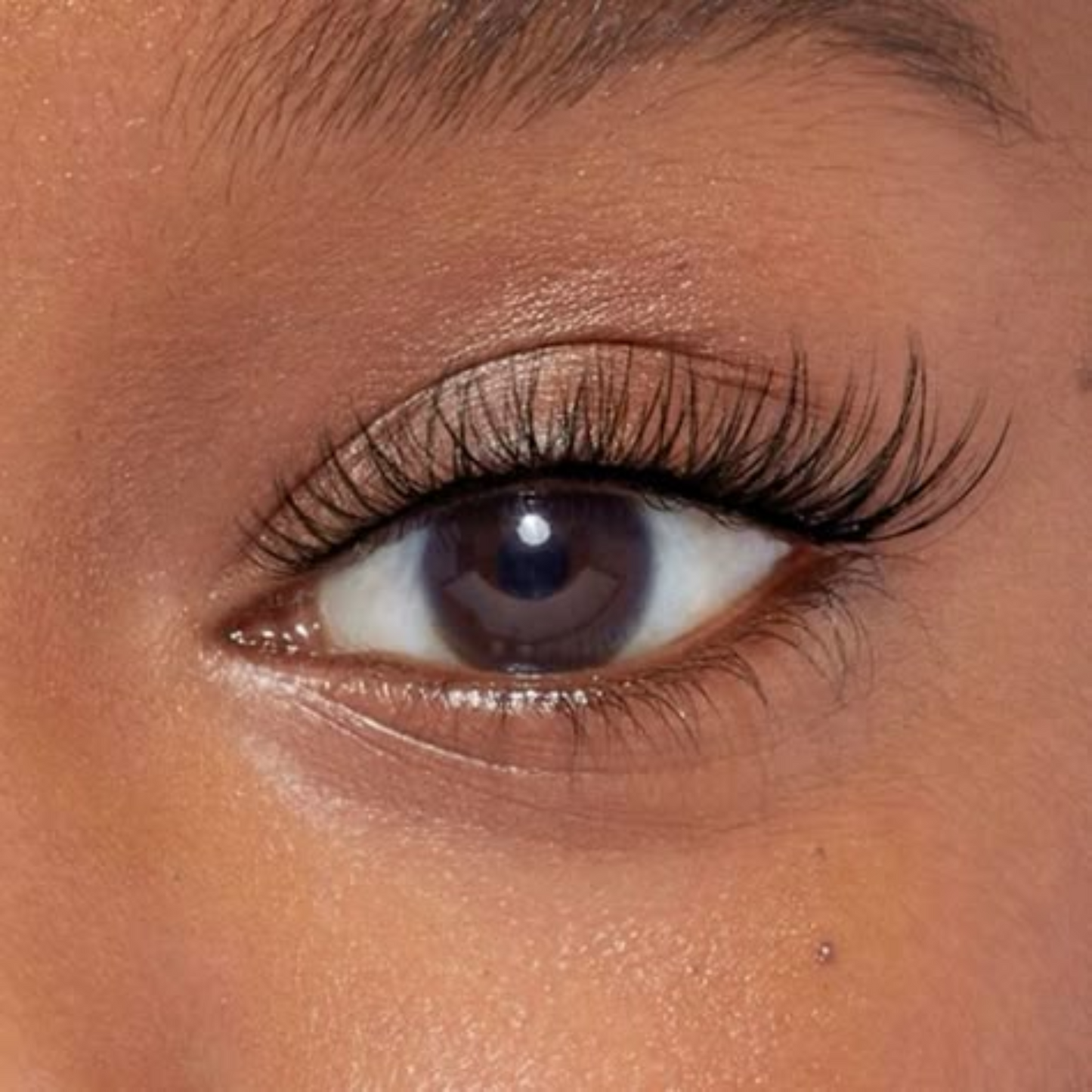 Princess Lashes