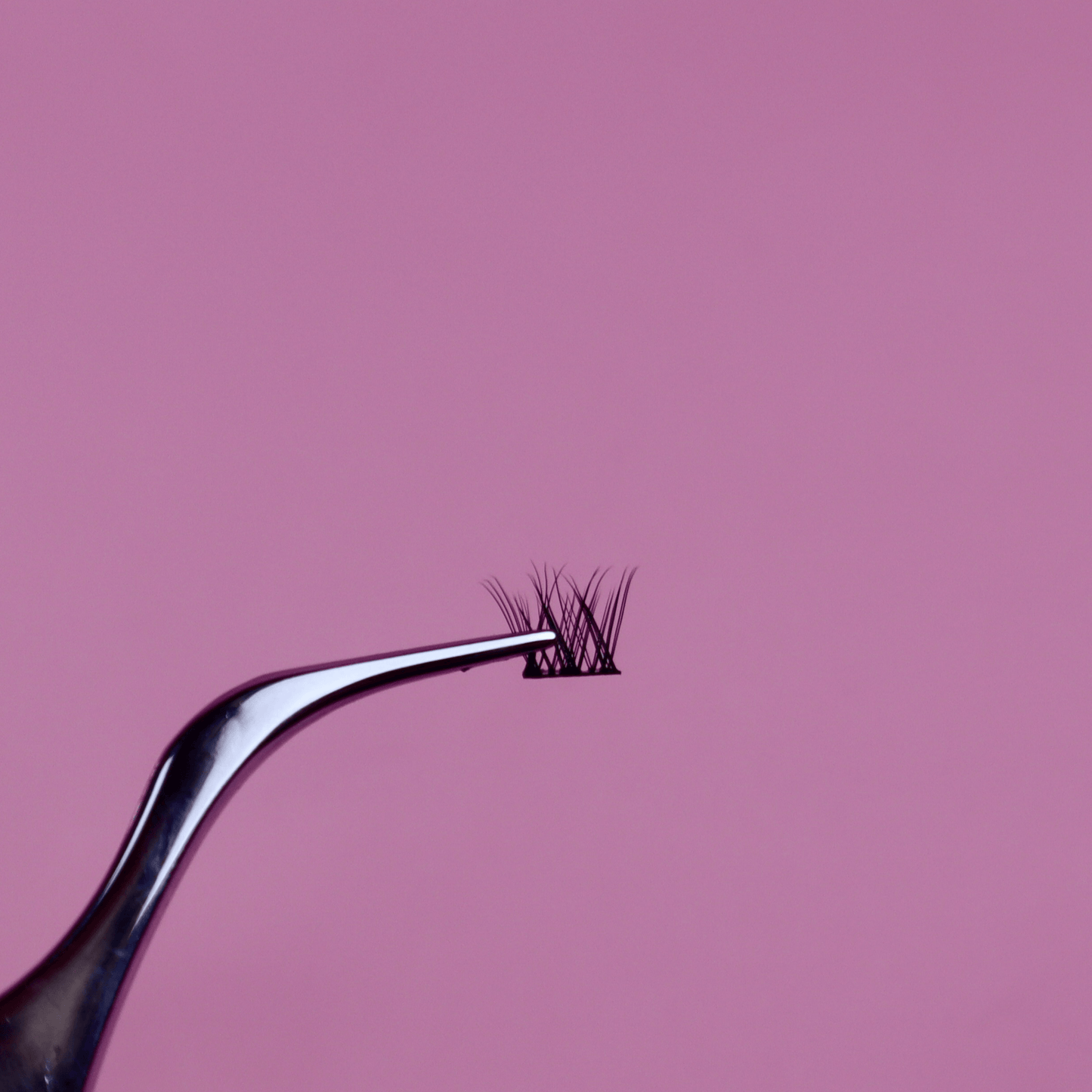 Princess Lash Bundle